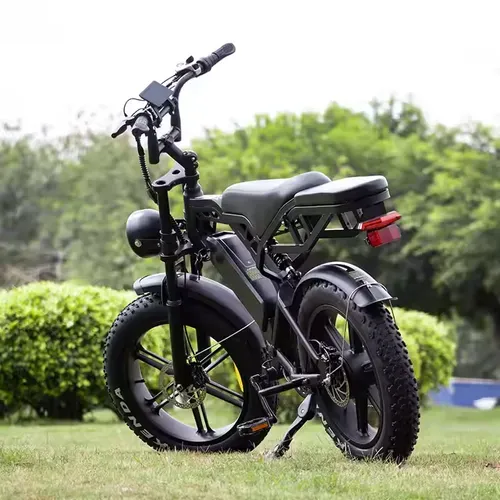 Fat tire electric variable speed bicycle V20
