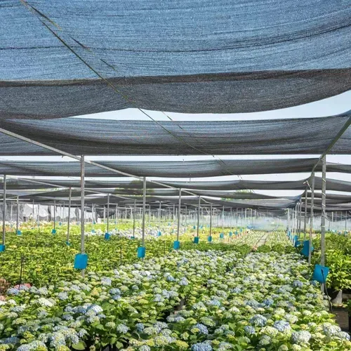 Home Garden Camping Agriculture Vegetable Nursery Sunshade Net