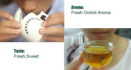 Jasmine Green Tea