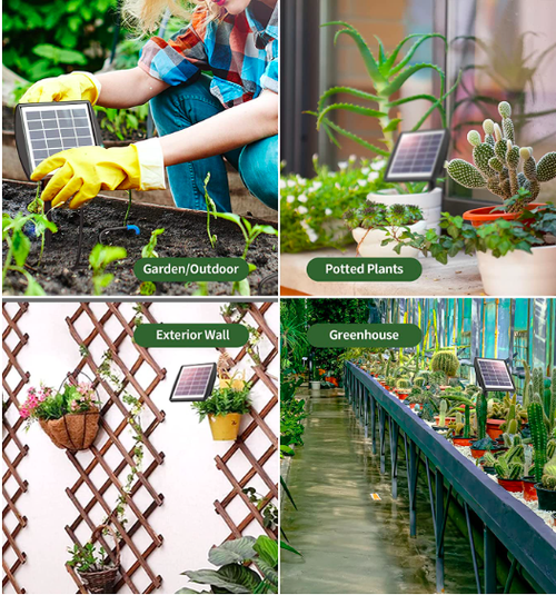Solar-powered automatic watering system