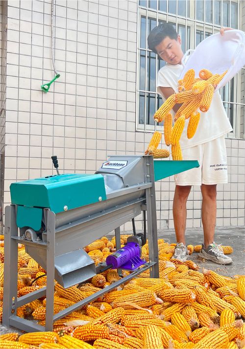 Electric Large Capacity Maize Huller Husking Corn Thresher Machine