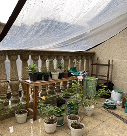 Transparent Tarpaulin with Metal Grommets, Outdoor Garden Rainproof Covering, Waterproof Clear Plastic Vinyl Tarp