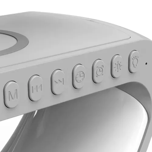 🎉🎉Multifunctional charging speaker