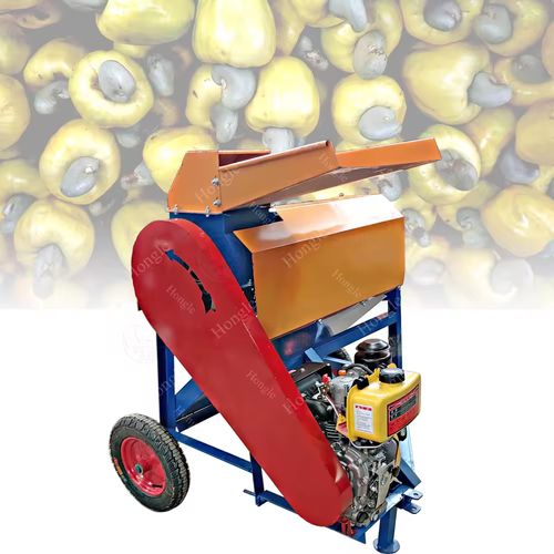 Fruit Raw Cashew Nuts Kernel Separator Machine (The last 5 machines)