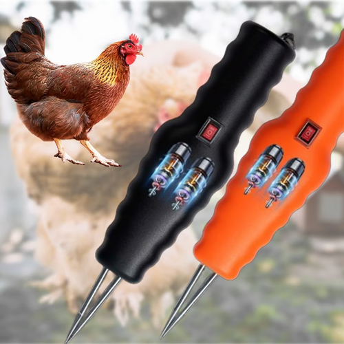 🎁Electric Quick Chicken Plucker（Make things easy.）