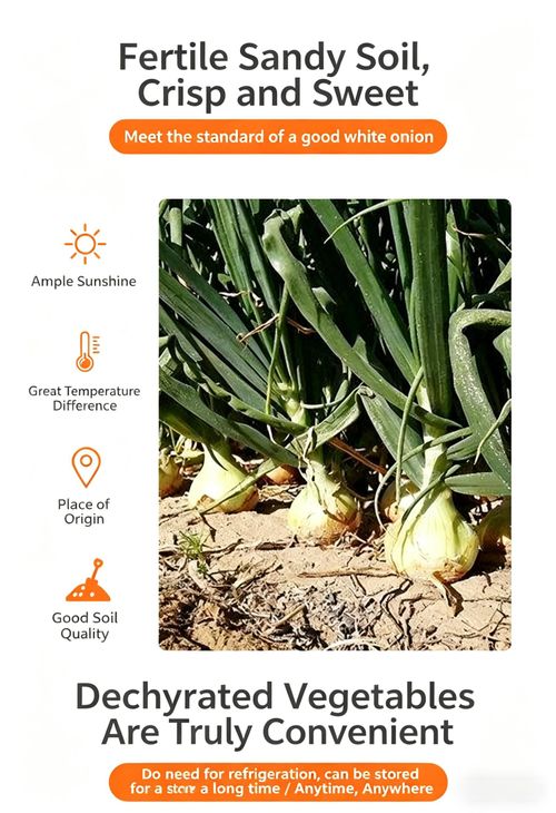 Dehydrated onion 1000g manufacturers supply dried onion granules, bulk wholesale, dehydrated onion seasonings, white onion granules