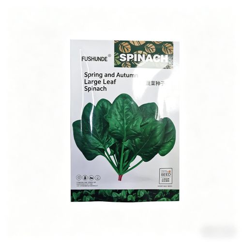 Farm-Grown Large-Leaf Spinach Seeds — Fast-Growing, Cold- and Heat-Tolerant for Spring, Autumn, and Winter — All-Season Red-Root Spinach Seeds for Pot Cultivation (Vegetable Seeds)