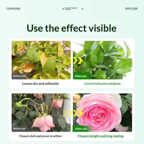 Specialized Compound Fertilizer for Vegetables 2.5 kg — Agricultural N-P-K Fertilizer for Crop Cultivation, Gardening, Fruit Trees, and Flowers — Universal Formula — Shipped Directly from the Production Base