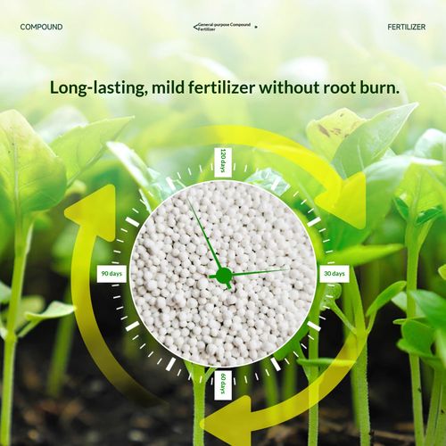 Specialized Compound Fertilizer for Vegetables 2.5 kg — Agricultural N-P-K Fertilizer for Crop Cultivation, Gardening, Fruit Trees, and Flowers — Universal Formula — Shipped Directly from the Production Base