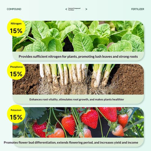 Specialized Compound Fertilizer for Vegetables 2.5 kg — Agricultural N-P-K Fertilizer for Crop Cultivation, Gardening, Fruit Trees, and Flowers — Universal Formula — Shipped Directly from the Production Base