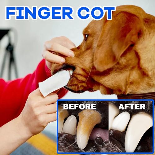 Clean Pet Teeth Finger Wipes
