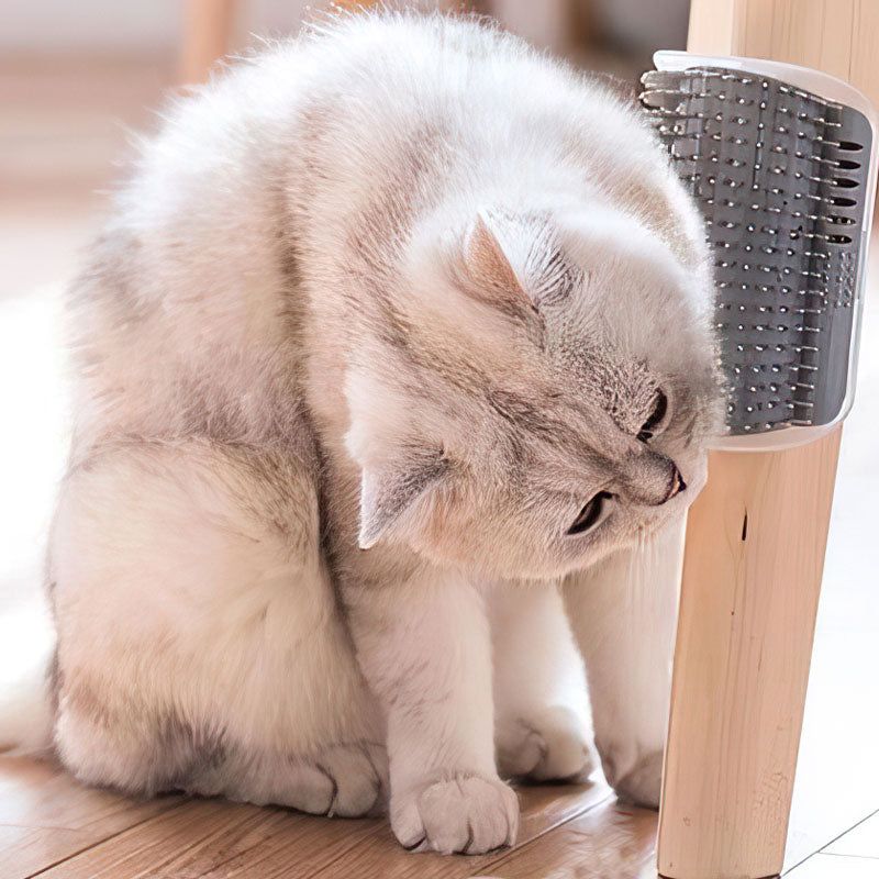Cat Massage Brush