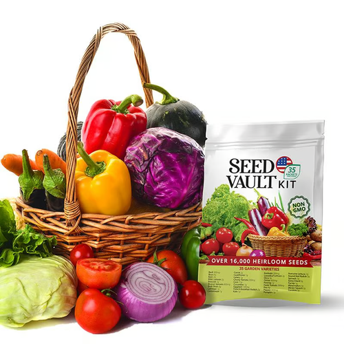 🌱🍅Vegetable Seed Vault Kit | 35 Varieties