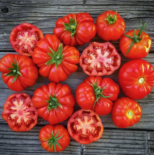 🌱Heirloom Seeds🍅Brandywine Tomato （100 seeds）