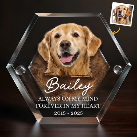 Custom Photo Pet Fur Keepsake - Personalized Pet Memorial Gift - Forever in My Heart