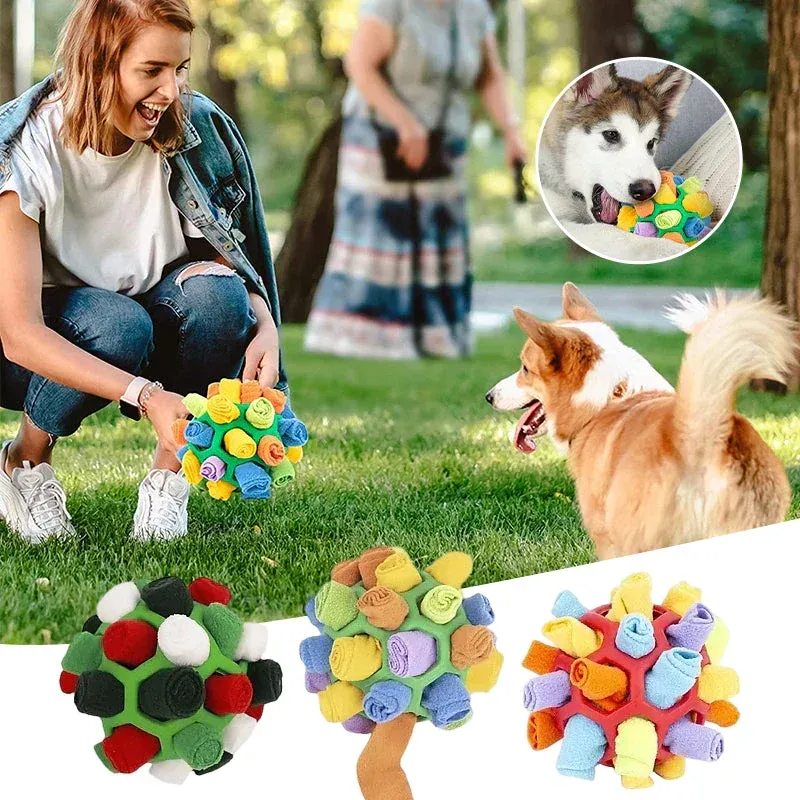 Sniff Puzzle Ball