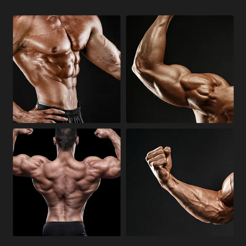 Speed Arm Trainer, Adjustable Forearm Wrist Strength Exerciser, Boxing Arm Power Training Fitness Equipment for Home Gym Workout