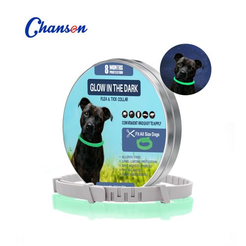 Glow-in-the-Dark Dog Flea Collar