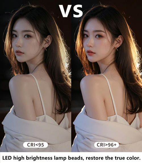 Handheld LED Ring Light