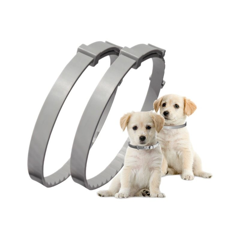Glow-in-the-Dark Dog Flea Collar