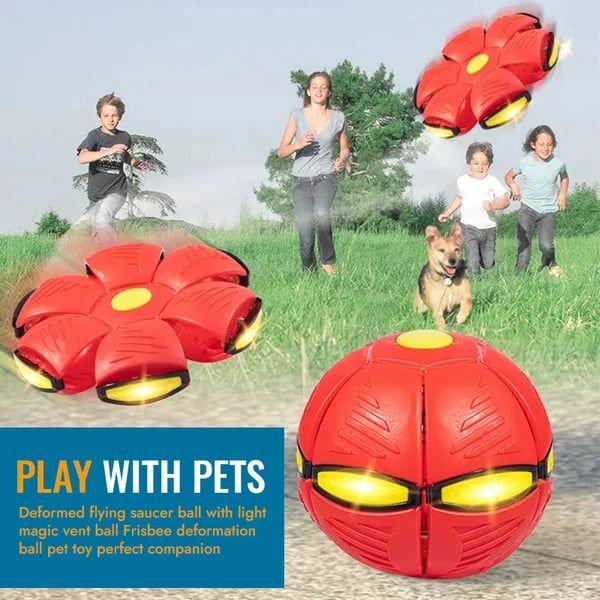 Disc Ball Toy❤