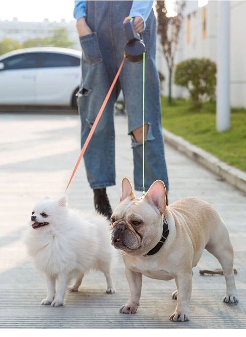 Two-end one-tow two-retractable pet leash