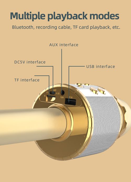 Wireless Karaoke Microphone