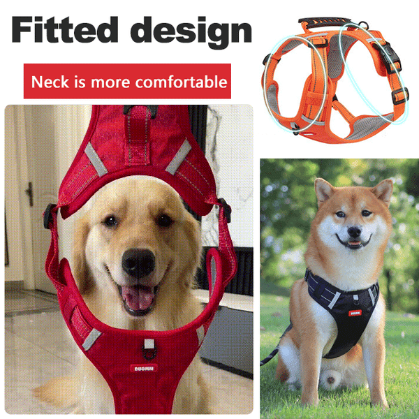 🐕No Pull Dog Harness for Pets（limited time promotion）