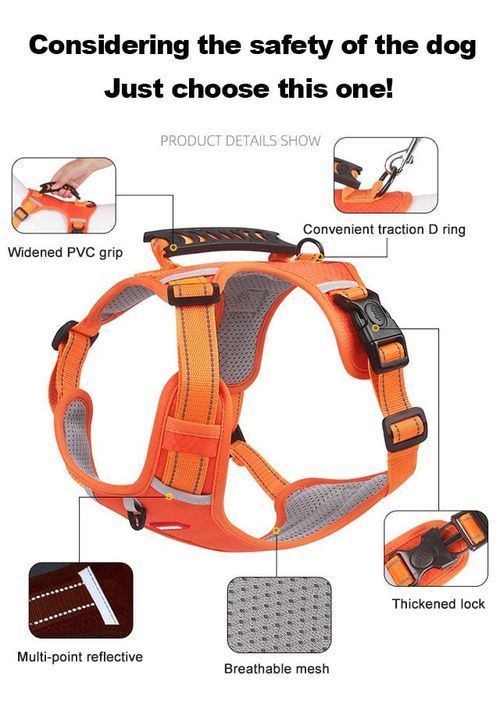 🐕No Pull Dog Harness for Pets（limited time promotion）