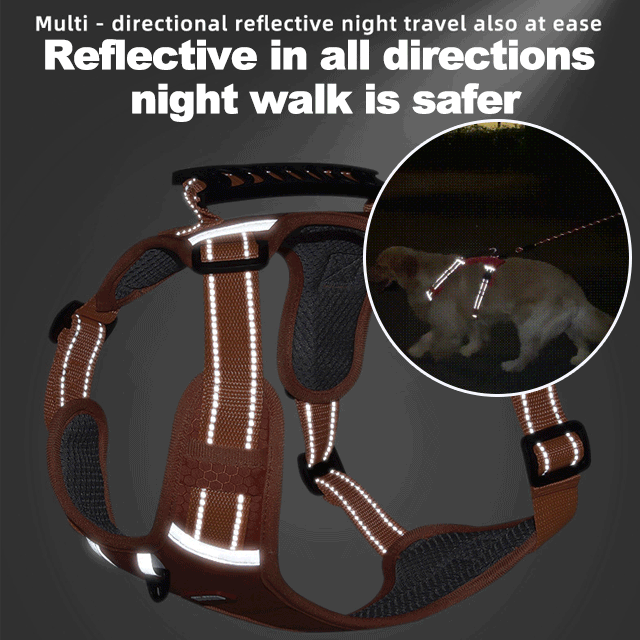 🐕No Pull Dog Harness for Pets（limited time promotion）