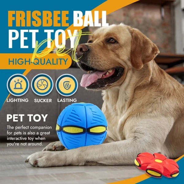 Disc Ball Toy❤