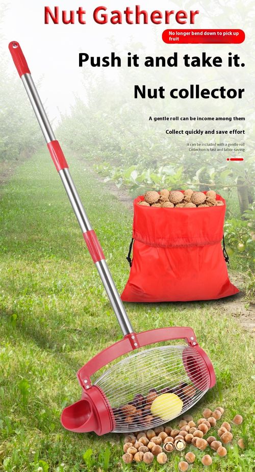 Hot Sale Fruit Nut Ball Golf Walnut Chestnut Picker Garden Tools