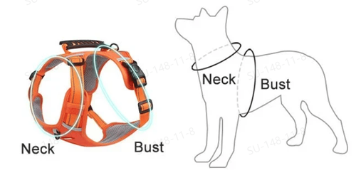 🐕No Pull Dog Harness for Pets（limited time promotion）
