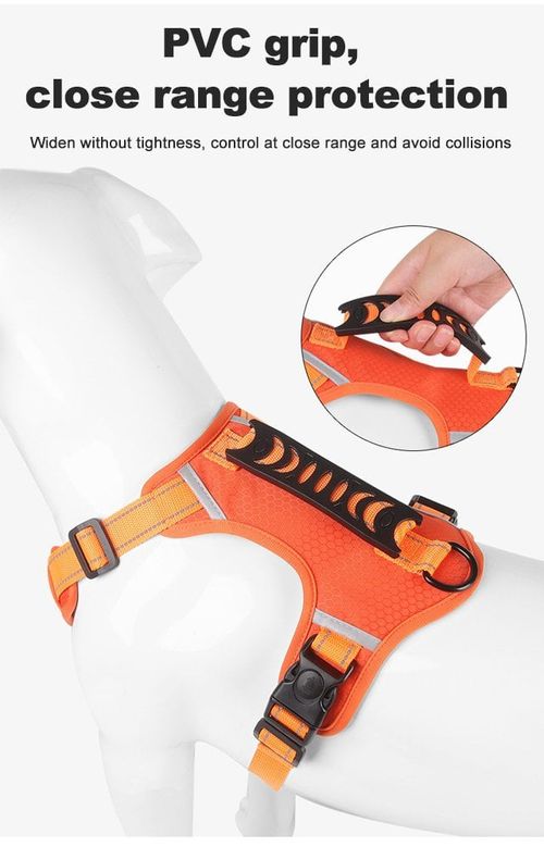 🐕No Pull Dog Harness for Pets（limited time promotion）