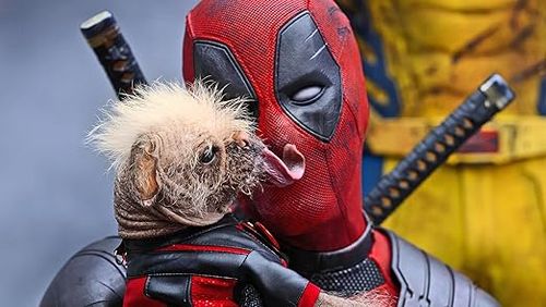 Deadpool & Wolverine (DVD)