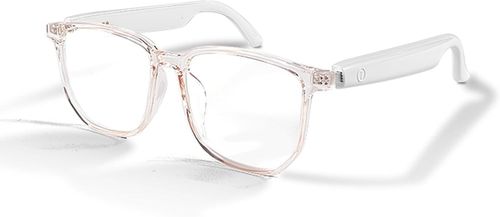 AI-Powered Adaptive Glasses