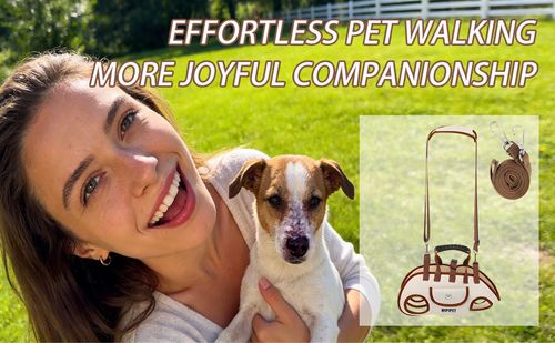 Portable Pet Backpack Carrier for Walking & Hiking