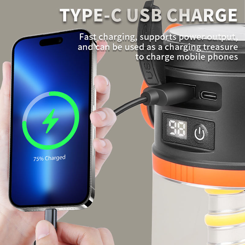 Solar-Powered Multi-Functional Outdoor Light