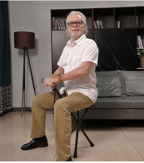 Foldable Chair Cane,