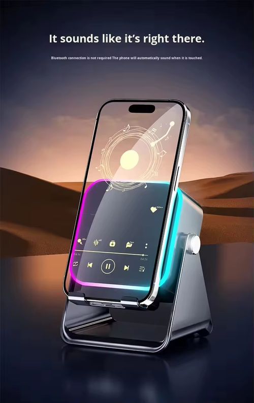 Wireless Induction Speaker