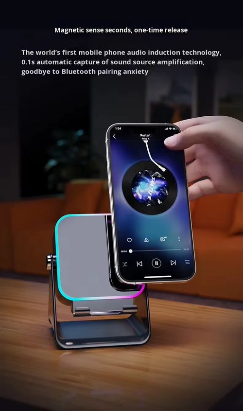 Wireless Induction Speaker