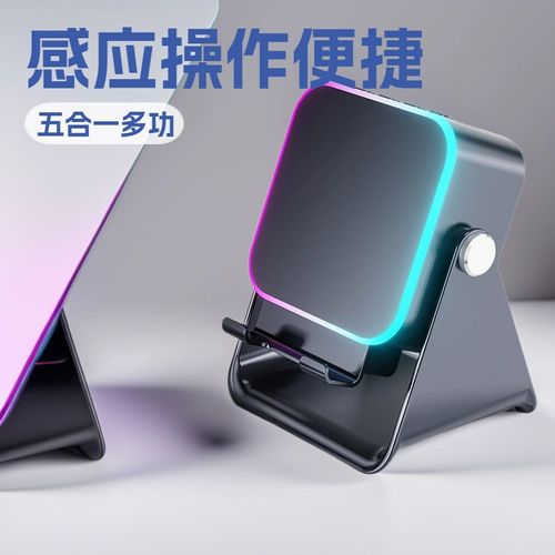 Wireless Induction Speaker