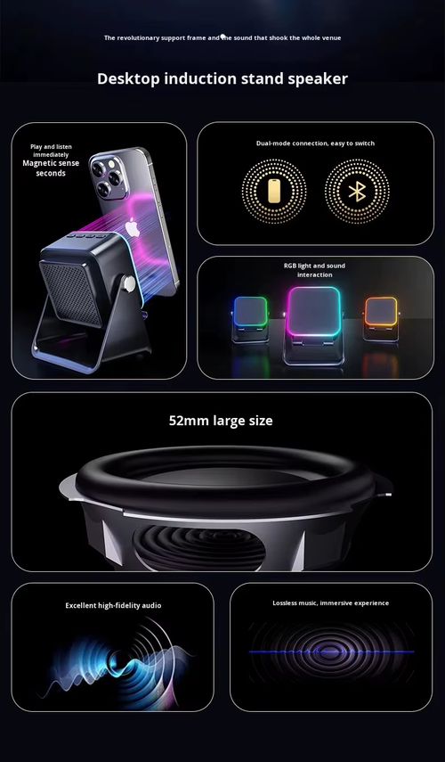 Wireless Induction Speaker