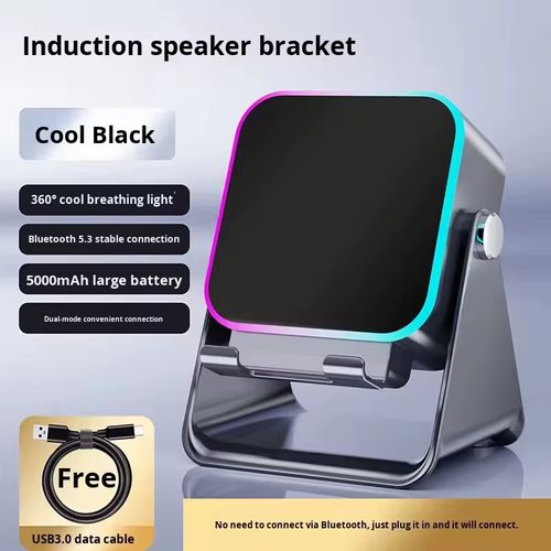 Wireless Induction Speaker