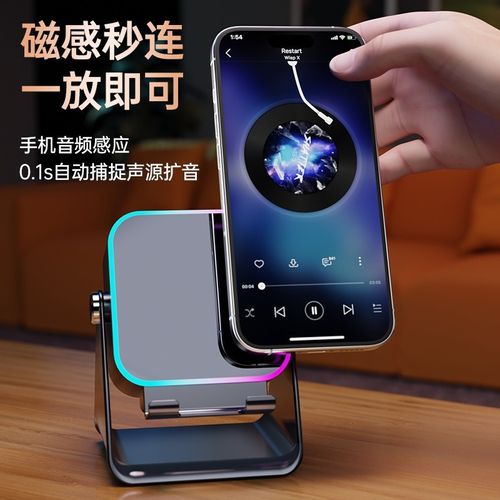 Wireless Induction Speaker