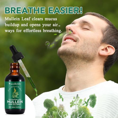 Mullein Drops for Lung Detox - Mullein Leaf Tincture with Chlorophyll - Helps Support Respiratory Health, Alcohol-Free, 1 Month Supply - 60ml