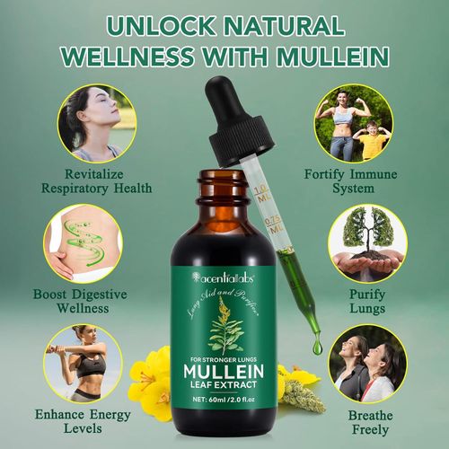 Mullein Drops for Lung Detox - Mullein Leaf Tincture with Chlorophyll - Helps Support Respiratory Health, Alcohol-Free, 1 Month Supply - 60ml