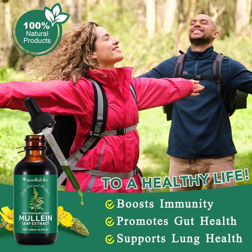 Mullein Drops for Lung Detox - Mullein Leaf Tincture with Chlorophyll - Helps Support Respiratory Health, Alcohol-Free, 1 Month Supply - 60ml