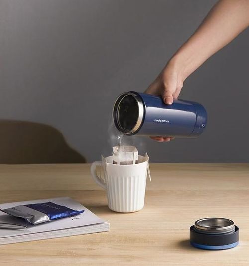 Portable Smart Electric Heating Cup | Instant Travel Kettle with Temperature Control | Multi-Temperature Adjustment