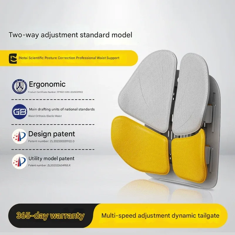 Nuotai Lumbar Support Cushion - Ergonomic Posture Corrector for Office Chair & Car Seat | Relief for Long Sitting